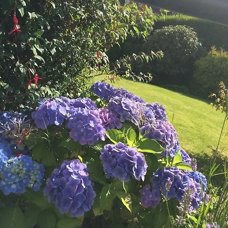 Willowbank Appartamento Ambleside